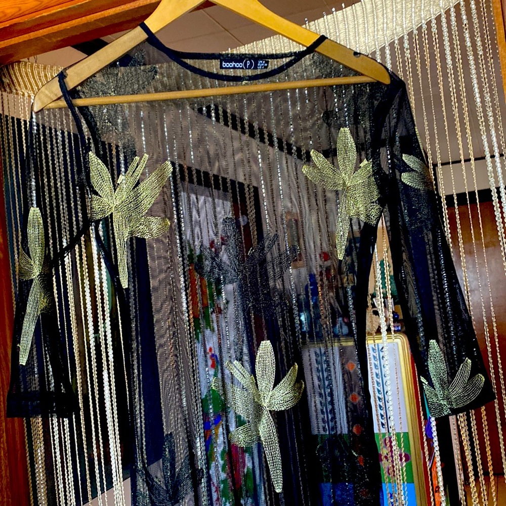 Boo-Hoo sheer dress